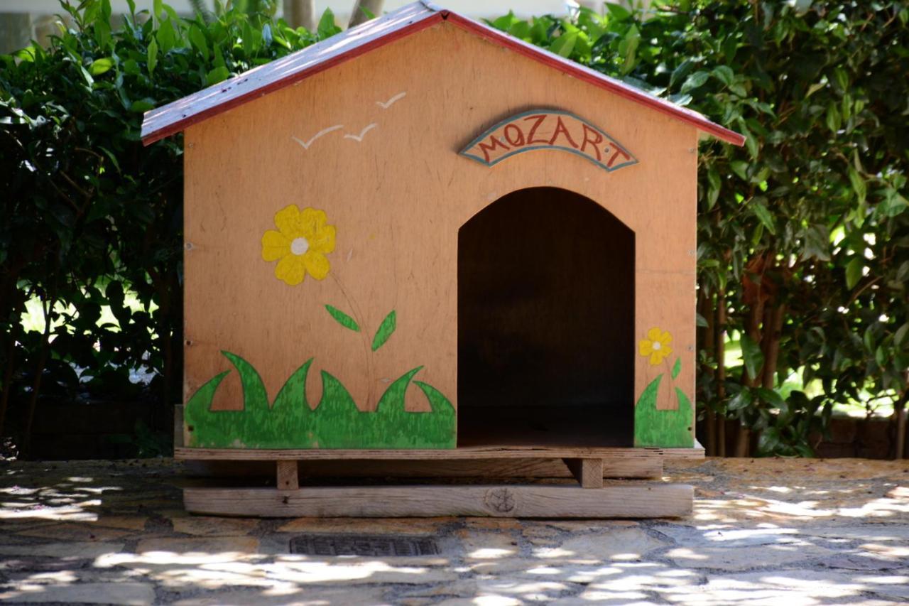 Mozart House Studio Αμάρυνθος Εξωτερικό φωτογραφία