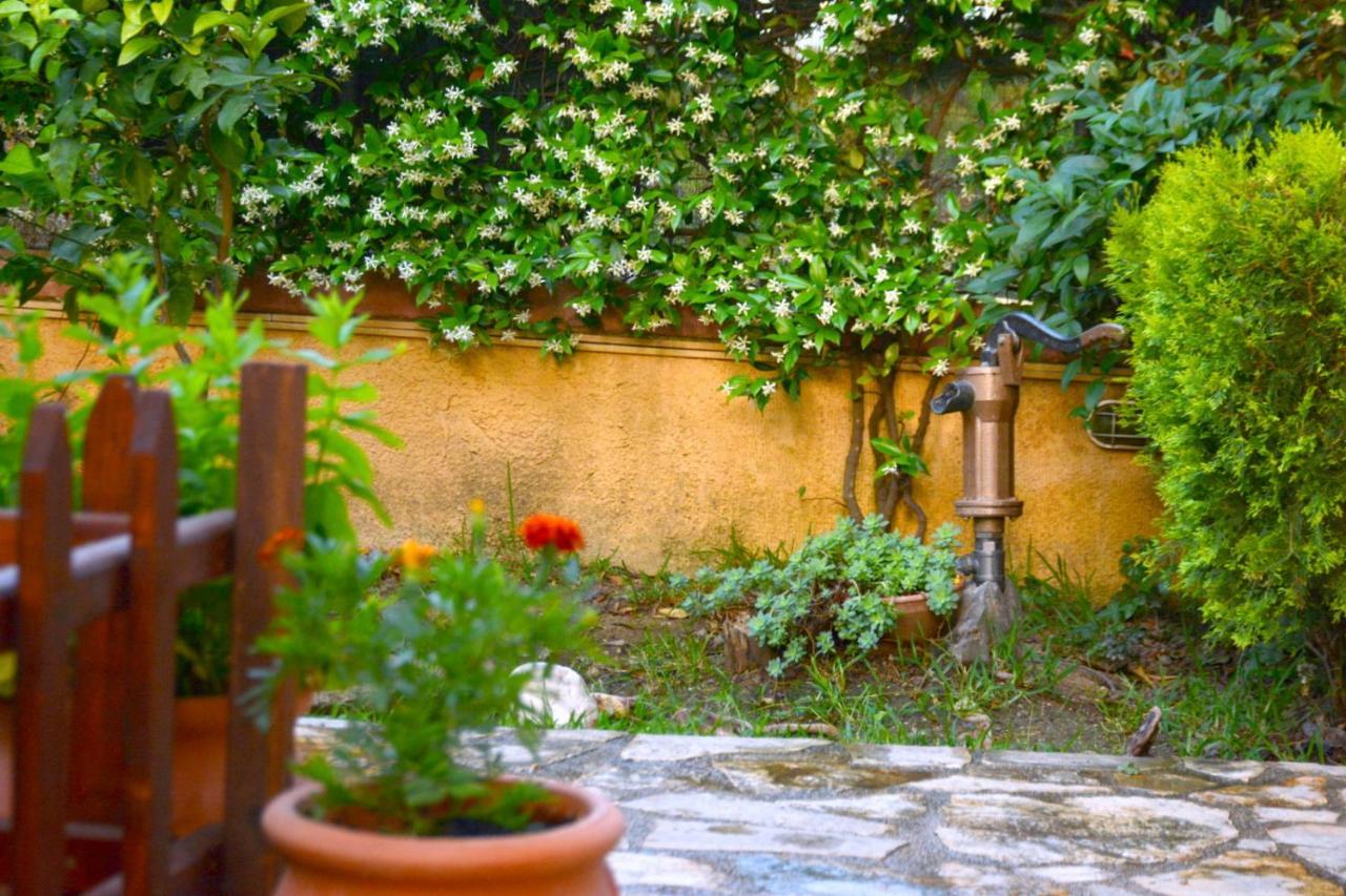 Mozart House Studio Αμάρυνθος Εξωτερικό φωτογραφία