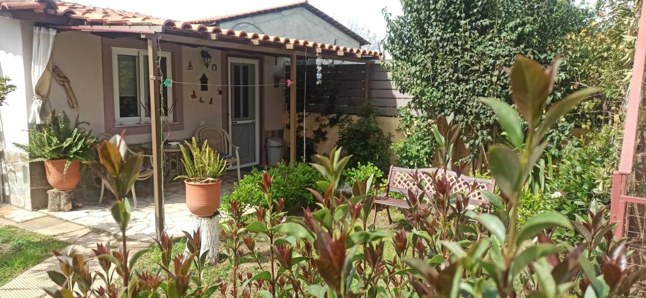 Mozart House Studio Αμάρυνθος Εξωτερικό φωτογραφία