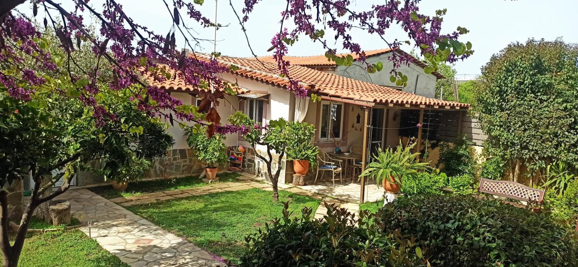 Mozart House Studio Αμάρυνθος Εξωτερικό φωτογραφία
